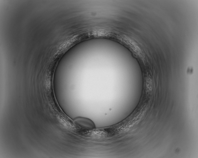 X0000100940401200807011250