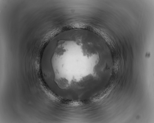 X0000100940402200807011250