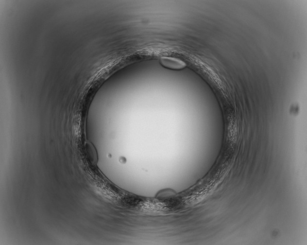 X0000100940403200807011250