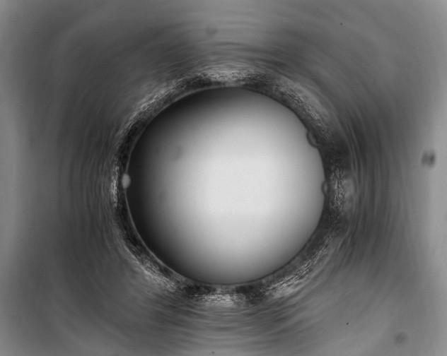 X0000100940404200807011250