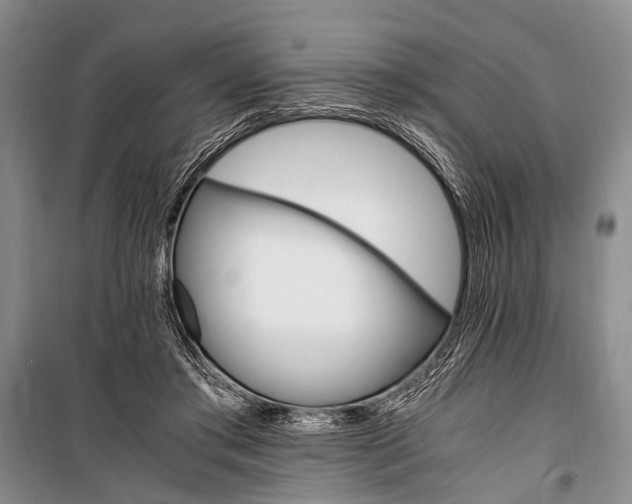 X0000100940405200807011250