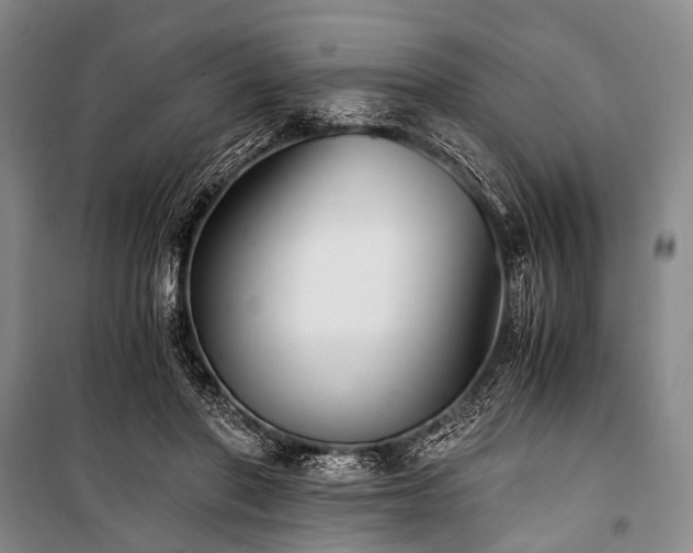 X0000100940406200807011250