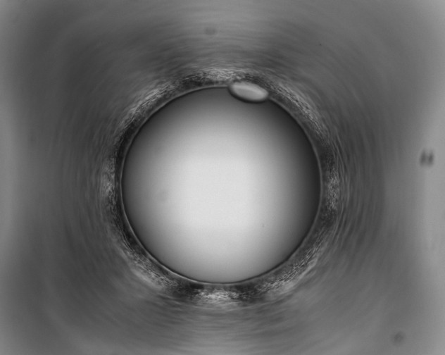 X0000100940407200807011250