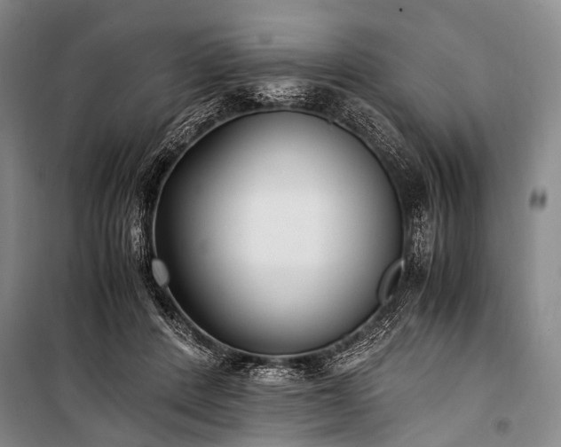 X0000100940408200807011250