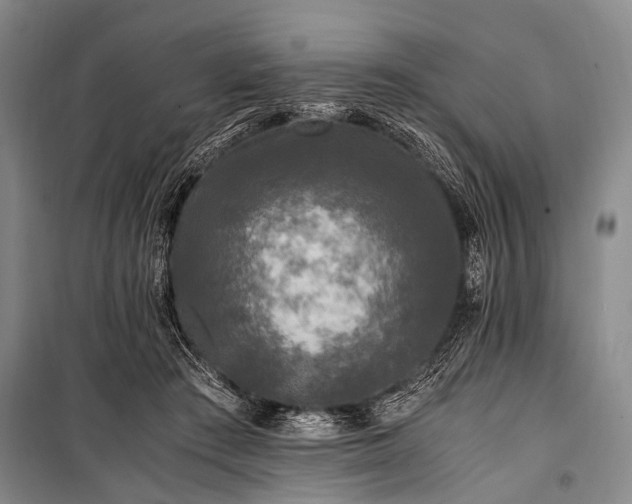 X0000100940409200807011250