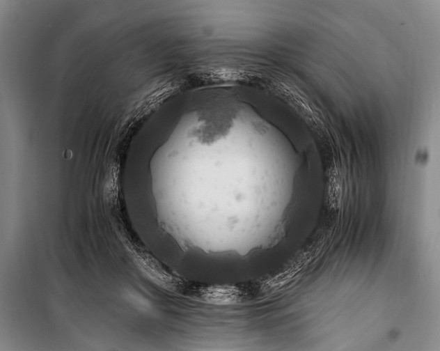 X0000100940410200807011250