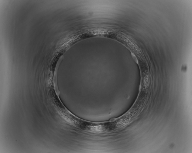 X0000100940411200807011250