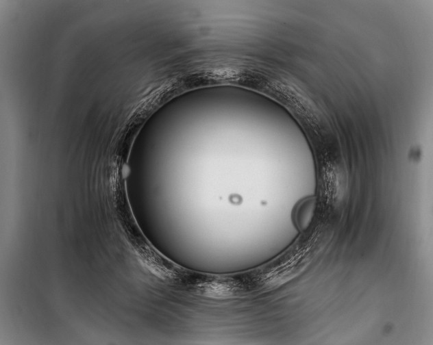 X0000100940412200807011250