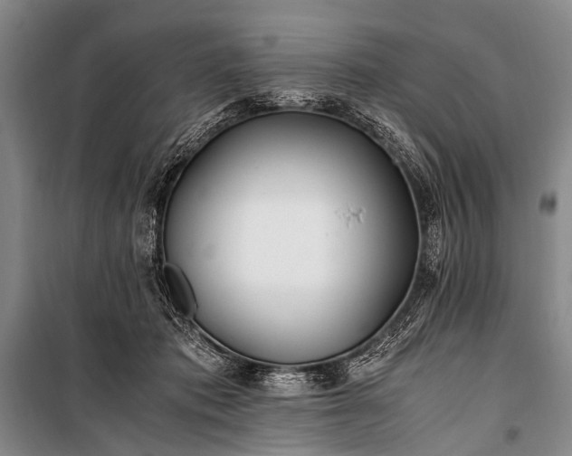 X0000100940413200807011250