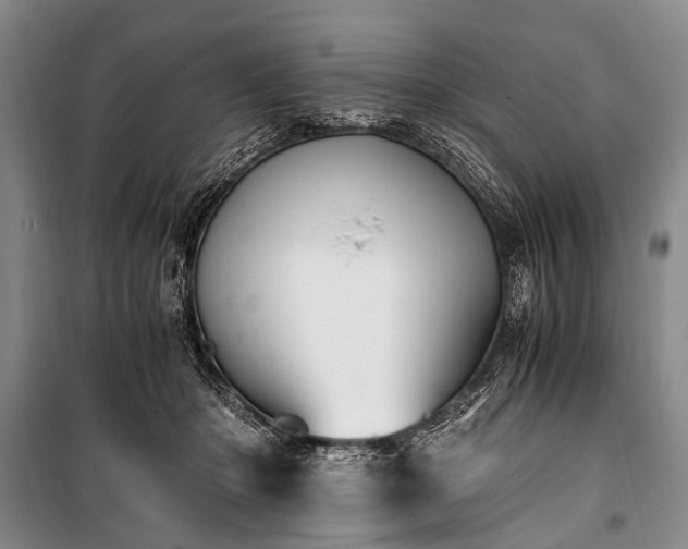 X0000100940414200807011250