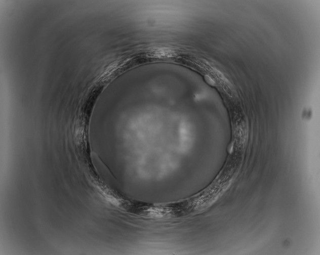 X0000100940415200807011249