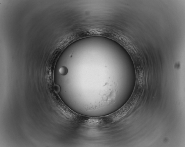 X0000100940418200807011249