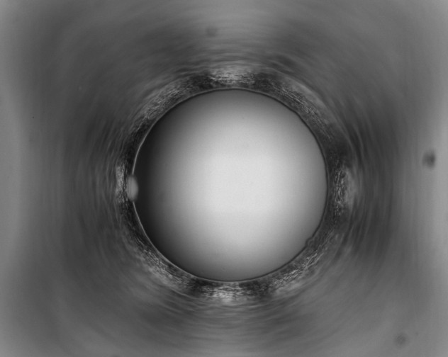 X0000100940420200807011249