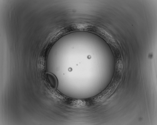 X0000100940421200807011249