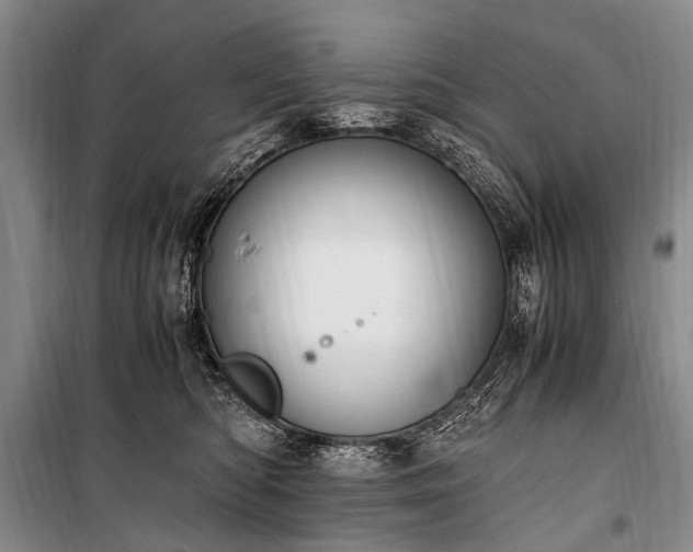 X0000100940422200807011249