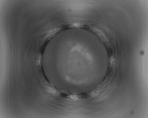 X0000100940423200807011249