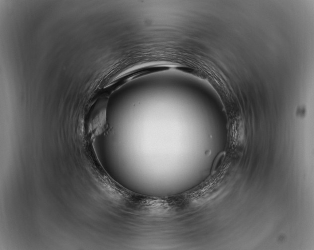 X0000100940424200807011249