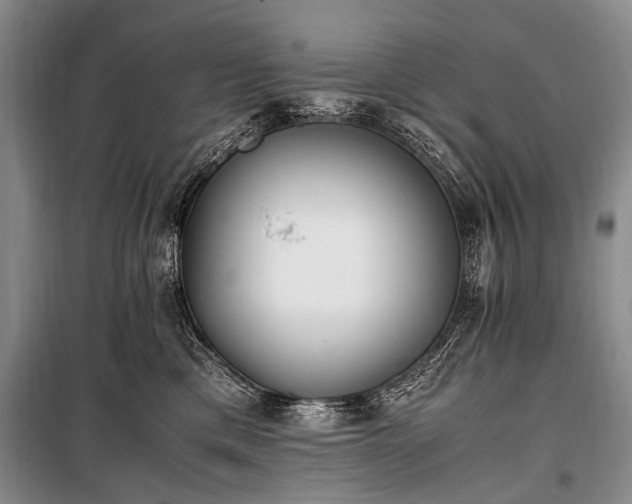 X0000100940425200807011249