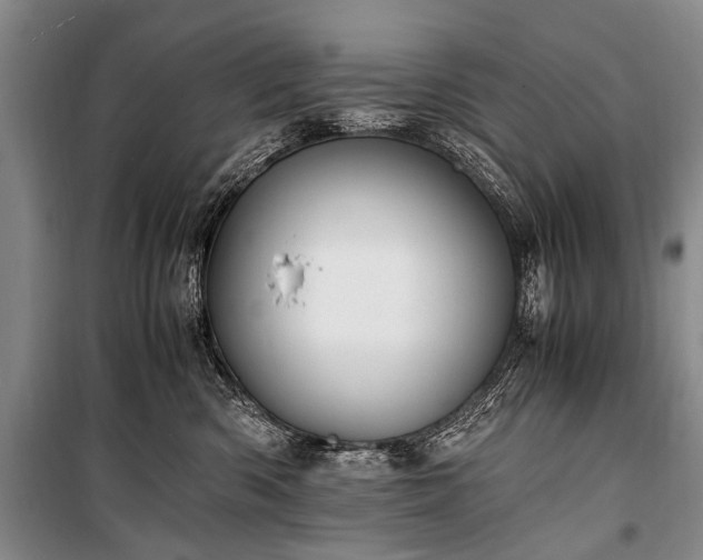 X0000100940426200807011249