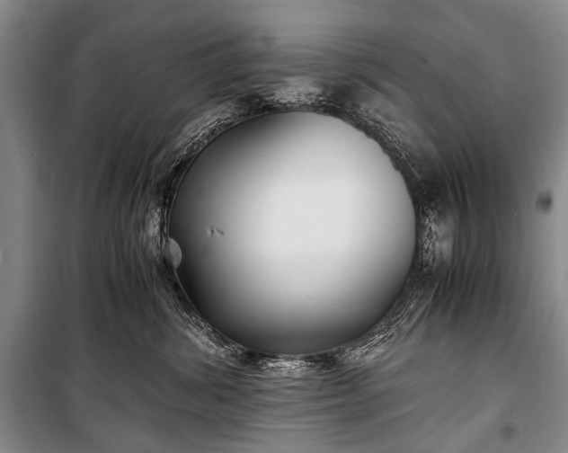 X0000100940428200807011249