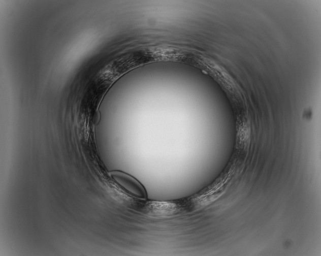 X0000100940429200807011249