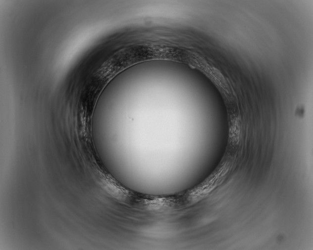 X0000100940430200807011249