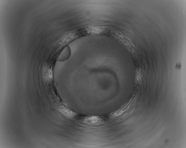 X0000100940431200807011249