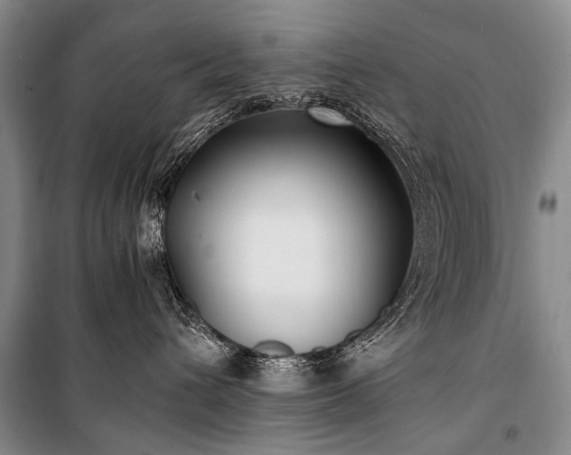 X0000100940432200807011249