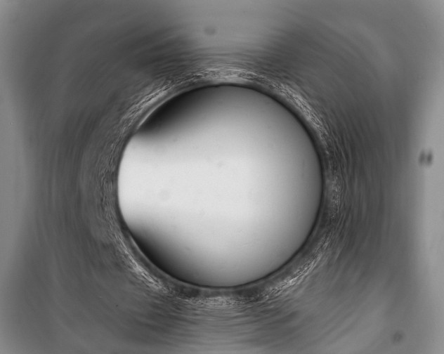 X0000100940433200807011249