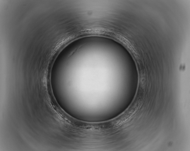 X0000100940434200807011249