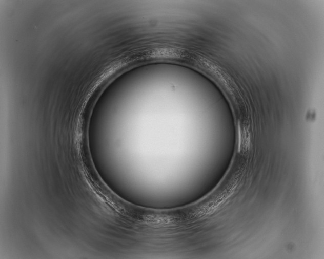 X0000100940435200807011249