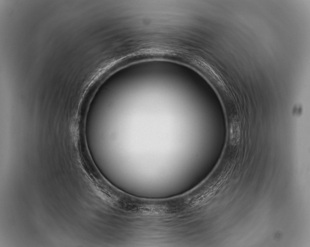 X0000100940436200807011249