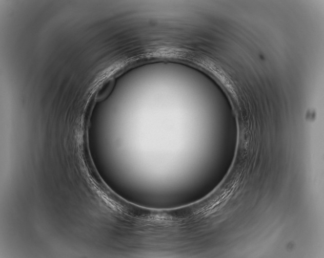 X0000100940437200807011249