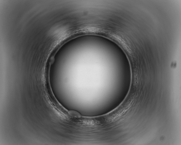 X0000100940439200807011249