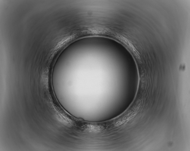 X0000100940442200807011249