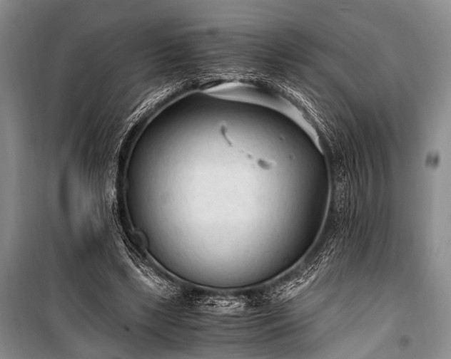 X0000100940443200807011249