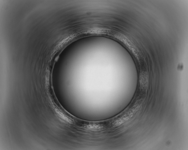 X0000100940445200807011249