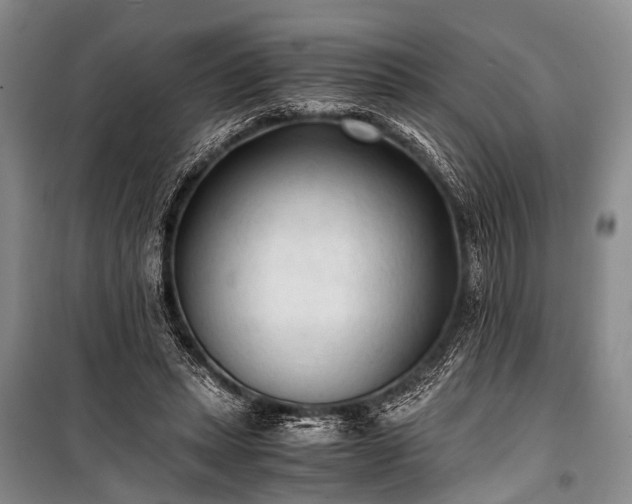 X0000100940447200807011249