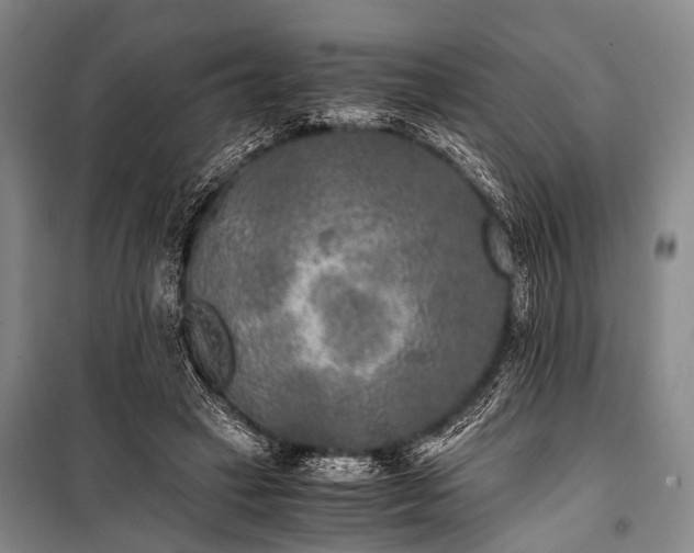 X0000100940449200807011249