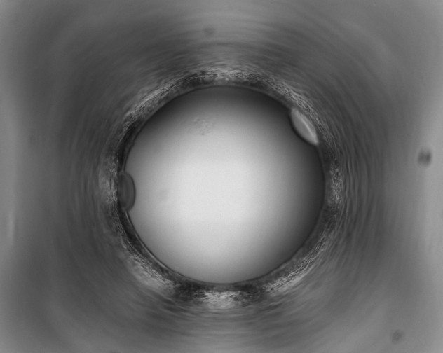 X0000100940450200807011249