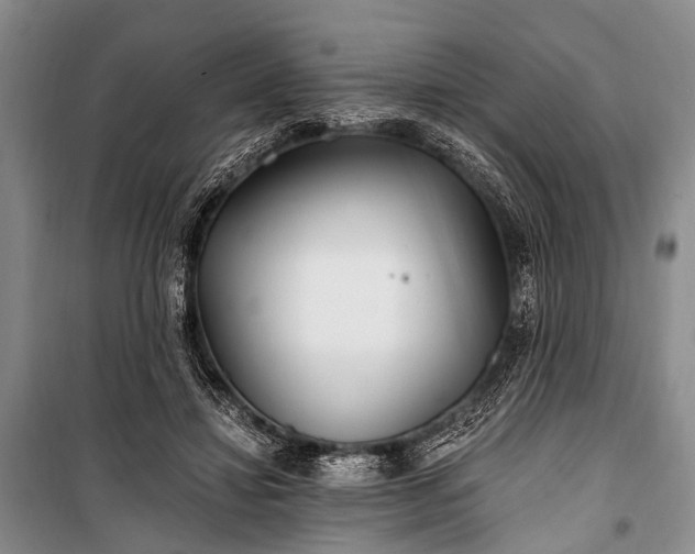 X0000100940452200807011249