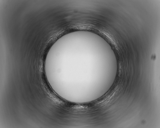 X0000100940453200807011249