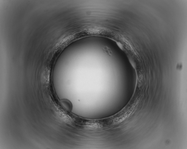 X0000100940454200807011249