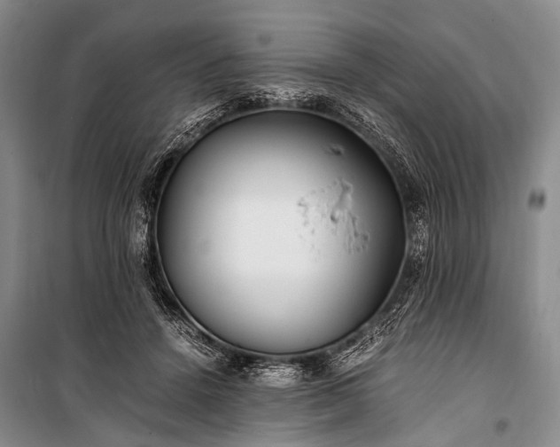 X0000100940456200807011249