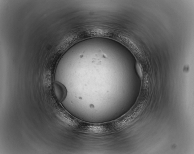 X0000100940457200807011249