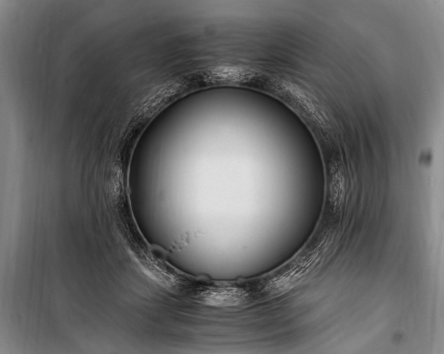 X0000100940459200807011249