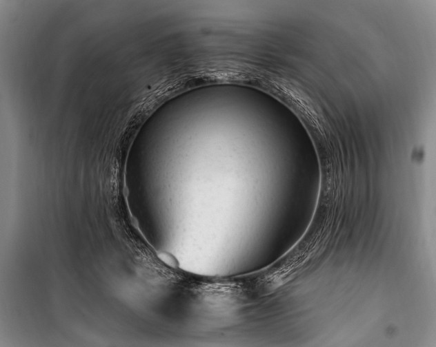 X0000100940461200807011249