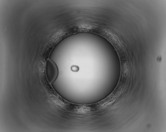 X0000100940463200807011249