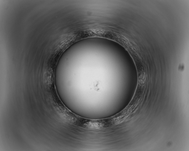 X0000100940464200807011249