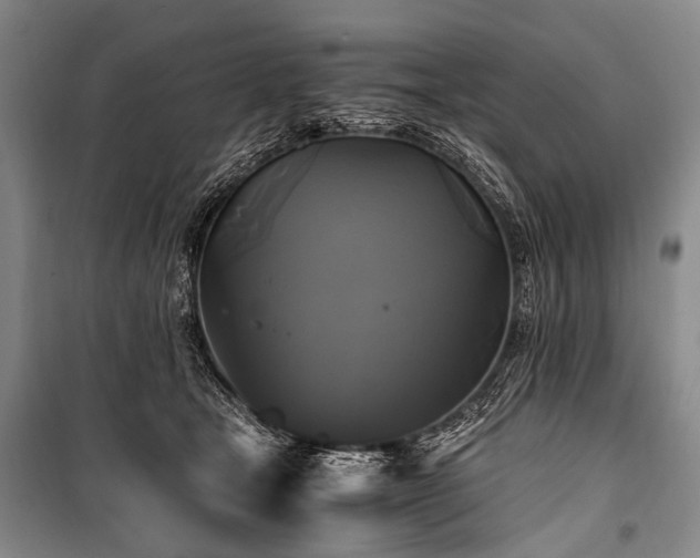 X0000100940465200807011249